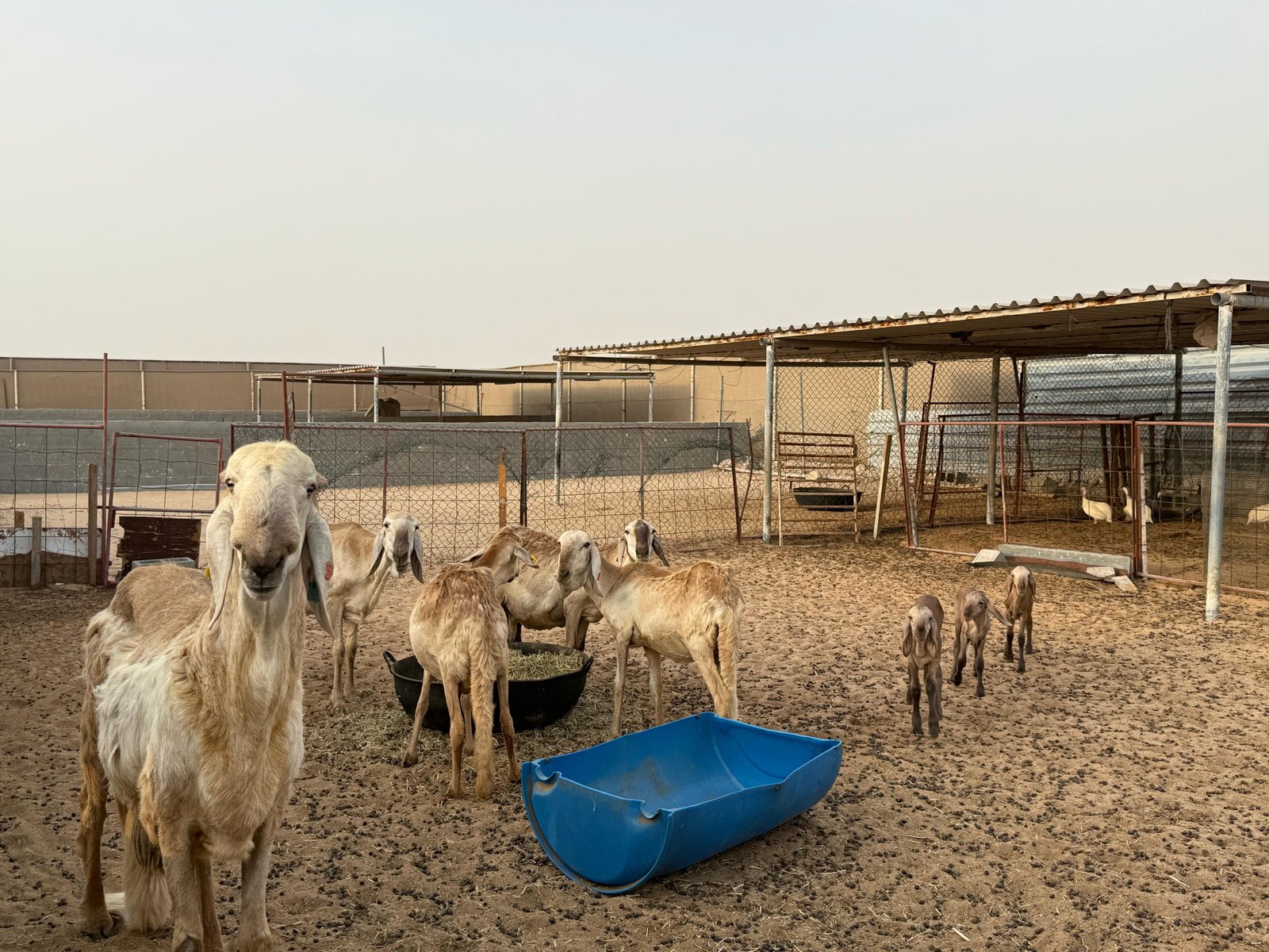 Casamora Retreat Well-Designed Bedroom