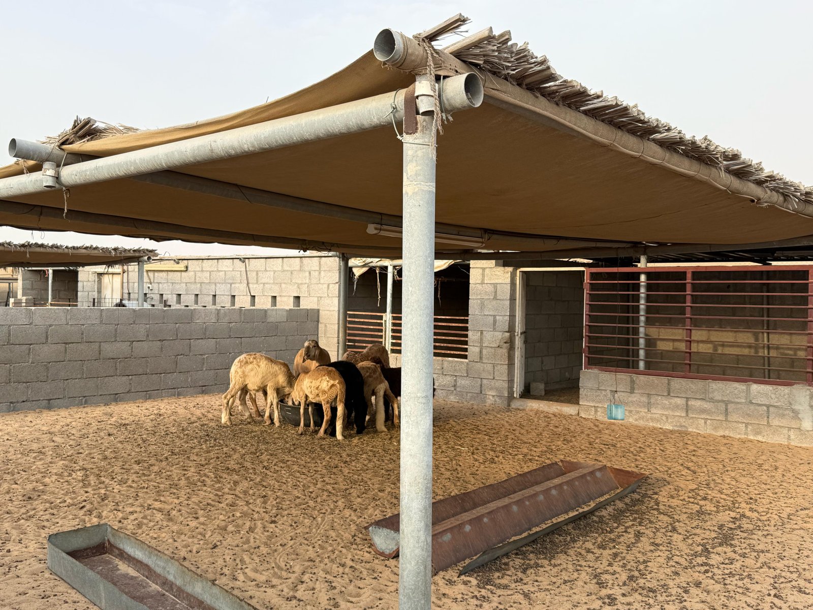 Casamora Retreat Outdoor Entertainment Space