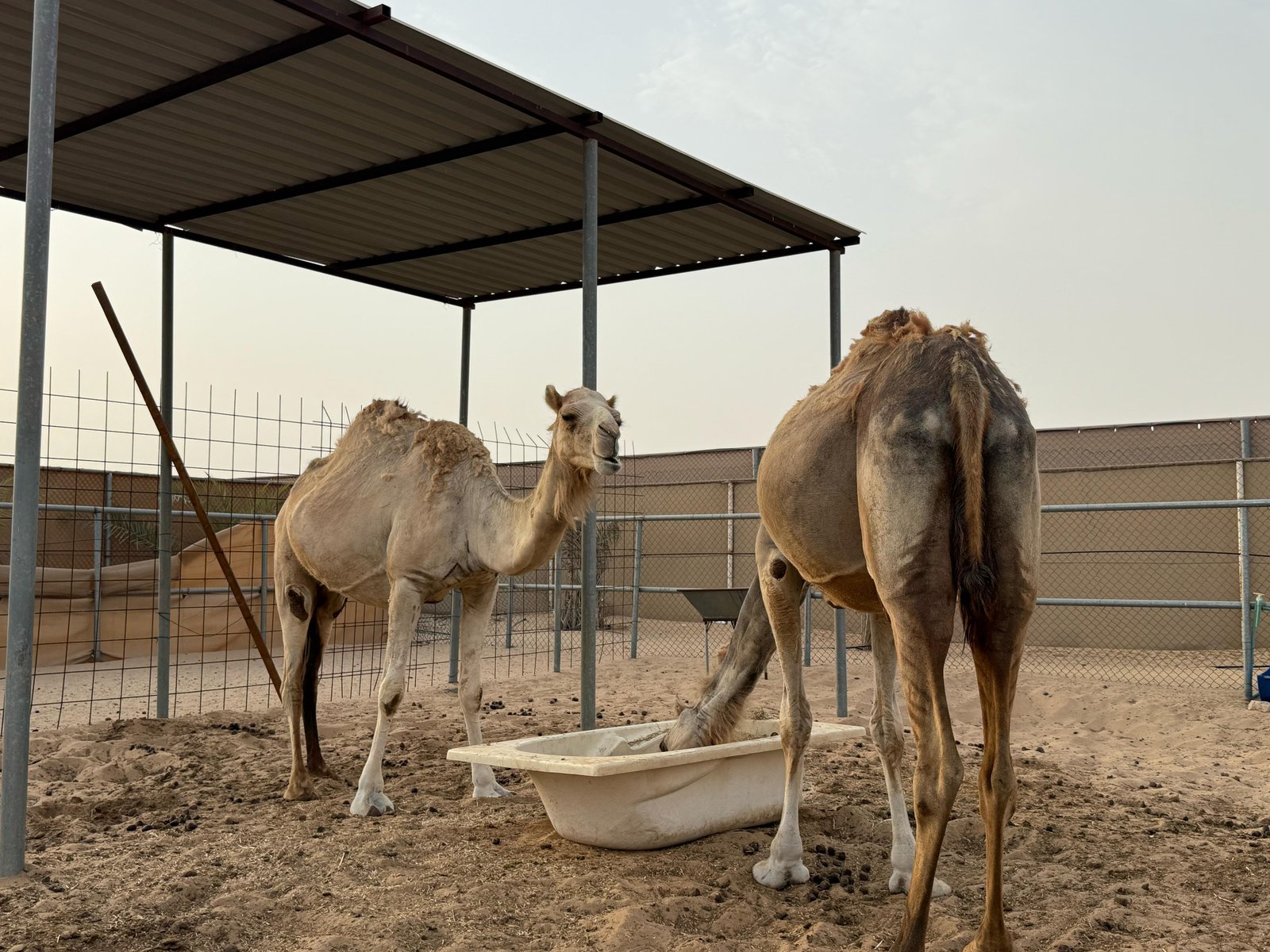 Casamora Retreat BBQ and Outdoor Cooking Area